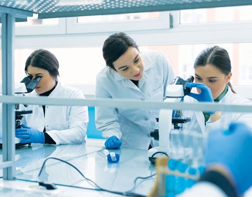 Partecipazione al finanziamento di una borsa di studio 2023