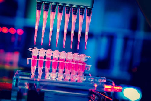 La firma che predice l'aggressività del tumore del seno