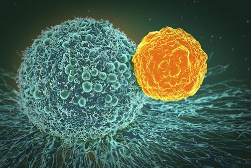 Verso l’immunoterapia per il medulloblastoma